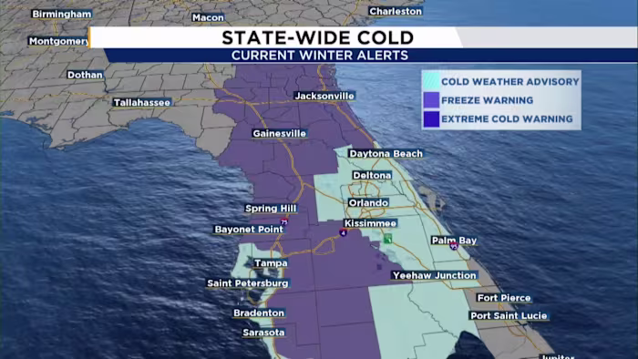 County-by-county: Which neighborhoods will feel the Florida freeze the most?