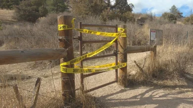 Couple surrounded by mountain lions on Northern Colorado trail before fatal attack, "We were going to be eaten"