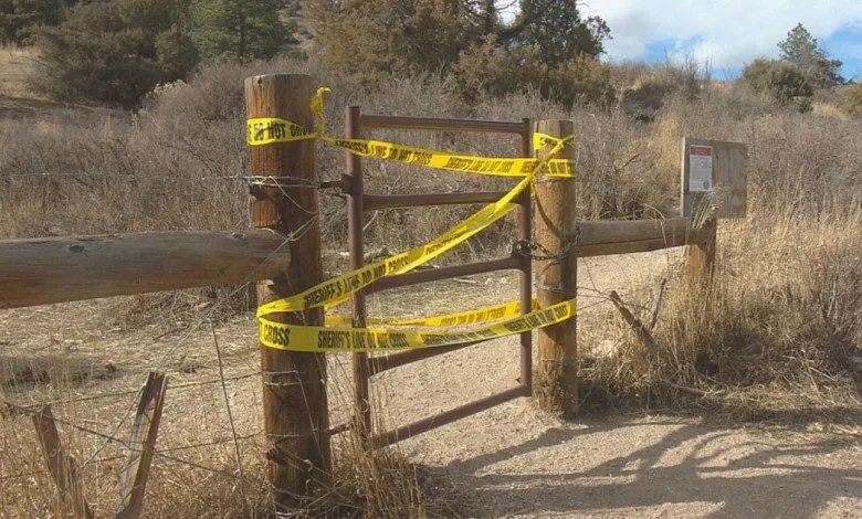 Couple surrounded by mountain lions on Northern Colorado trail before fatal attack, "We were going to be eaten"