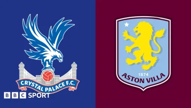 Crystal Palace vs Aston Villa: Premier League preview, team news, stats & head-to-head