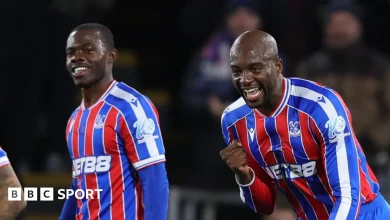 Crystal Palace vs Fulham: Premier League preview, team news, stats & head-to-head
