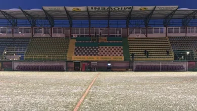 Cum se prezintă gazonul de la Mioveni, înainte de FC Argeș - FCSB
