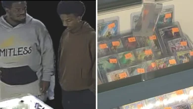 Customer robbed at gunpoint for rare Pokémon cards worth $300,000; string of similar robberies reported across LA