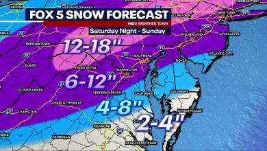 DC Snow Forecast: Winter Storm Warning, State of Emergency issued for region