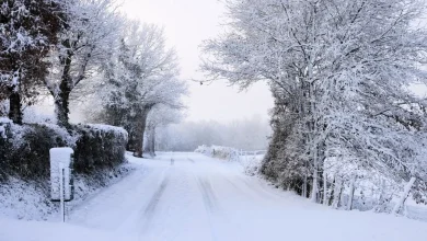 DIRECT. Neige et verglas : Météo-France place 38 départements en vigilance orange pour la journée de mercredi