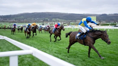 Dan Skelton pays tribute to dual Cheltenham Festival winner Langer Dan after his death