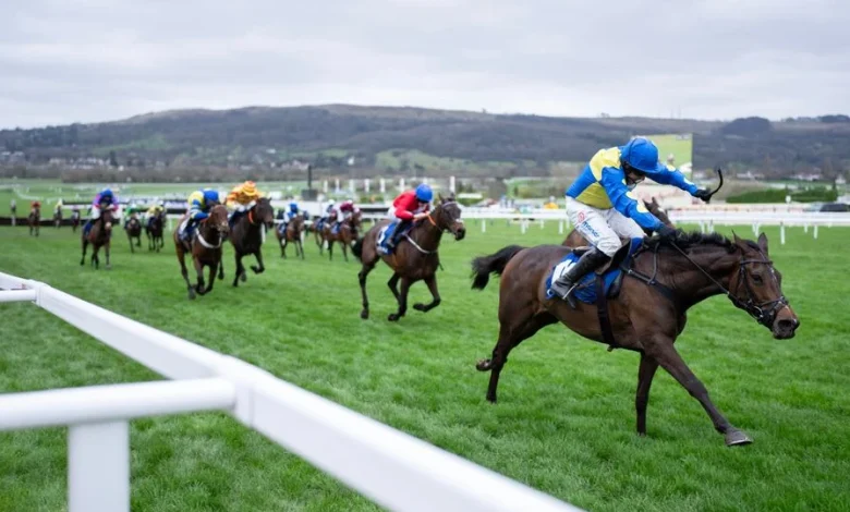 Dan Skelton pays tribute to dual Cheltenham Festival winner Langer Dan after his death