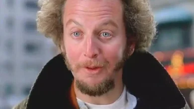 Daniel Stern Cited for Soliciting Prostitution