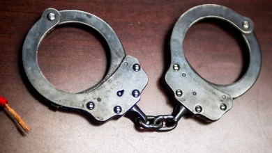 Daniel Stern charged with soliciting prostitute in California