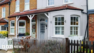 David Bowie's London childhood home set to open to the public