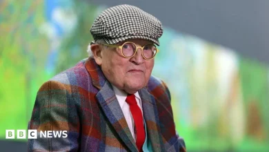 David Hockney says moving Bayeux Tapestry to UK is 'madness'