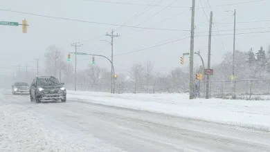 Delayed Opening of One Hour for Metro Schools