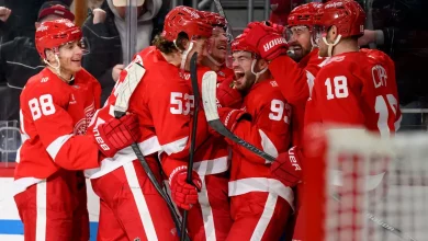 Did Detroit News photographer assist Red Wings with tying goal?
