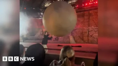 Disney World cast member hurt stopping 400-lb fake boulder from hitting audience