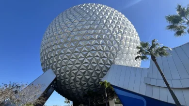 Disney announces new ticket offers for Florida residents