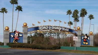 Disney cast member recovering after videos show runaway boulder at Indiana Jones show