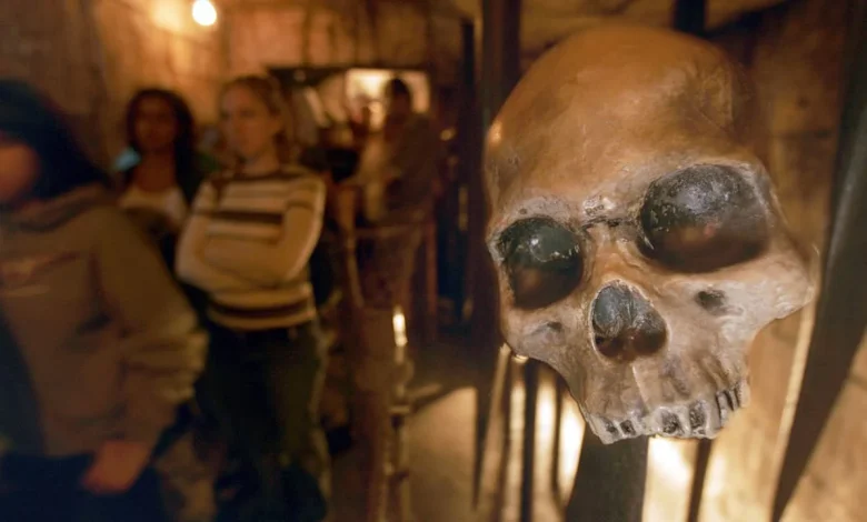 Disneyland fight: Brawl erupts at Indiana Jones ride over line-cutting