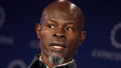 Djimon Hounsou's Baby Mama Arrested For Allegedly Assaulting Him