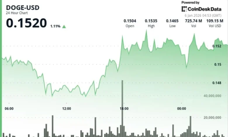 Dogecoin 2x ETF tops early 2026 leaderboard as DOGE prints V-shaped rebound