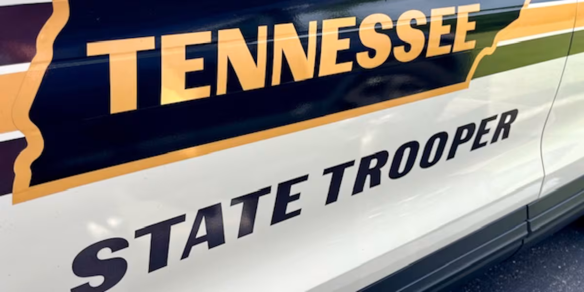 Downed trees, crashes and disabled cars causing road problems in East Tennessee