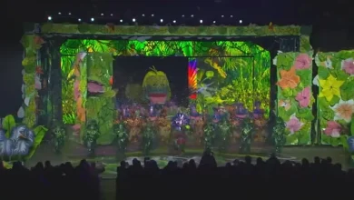 Downtowners win first Mummers Fancy Brigade Finale since 2002