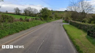 Driver dies in car crash on rural road