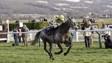 Early favourites for the 2026 Queen Mother Champion Chase