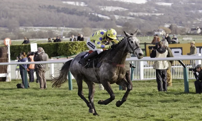 Early favourites for the 2026 Queen Mother Champion Chase