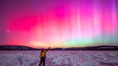 Earth hit by biggest 'solar radiation storm' in 23 years, triggering Northern Lights as far as Southern California