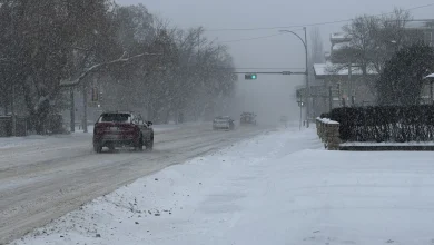 Edmonton to activate extreme weather response to begin new year