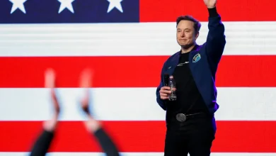 Elon Musk seeks custody of son after Ashley St. Clair's pro-transgender post