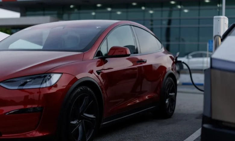 Elon Musk’s Tesla reports first-ever annual decline in revenue | Elon Musk