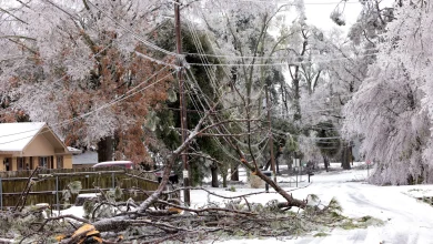 Entergy Louisiana gives restoration timeline following winter storm