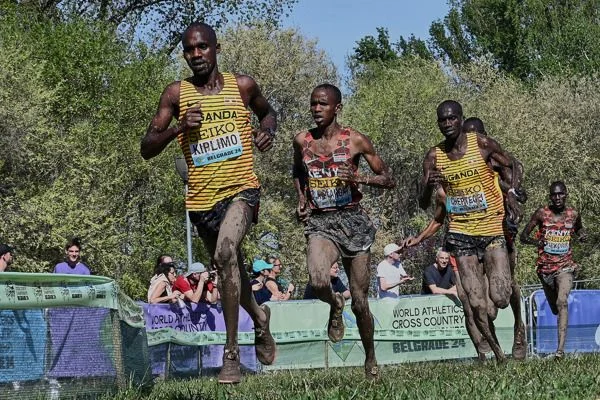 Entry lists for World Athletics Cross Country Championships Tallahassee 26 published | News | Tallahassee 26