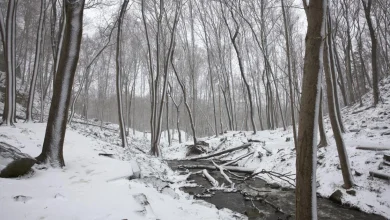 Environment Canada warns of snowy Monday morning commute in Hamilton
