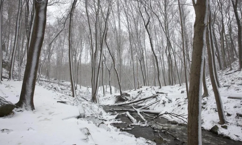 Environment Canada warns of snowy Monday morning commute in Hamilton