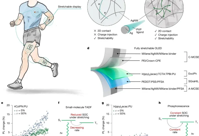 Exciplex-enabled high-efficiency, fully stretchable OLEDs