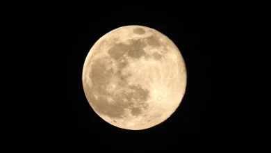 Eyes to the sky! February's Full Snow Moon shines this weekend