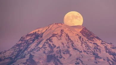 February’s Full Snow Moon Will Bring Profound Change—Especially for These 4 Star Signs