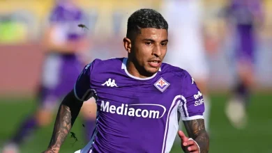 Fiorentina vs AC Milan: Preview