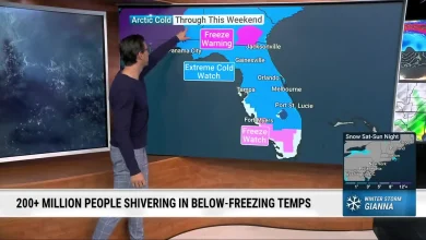 Florida Freeze Ahead: Could We See Record Temps, Flurries?