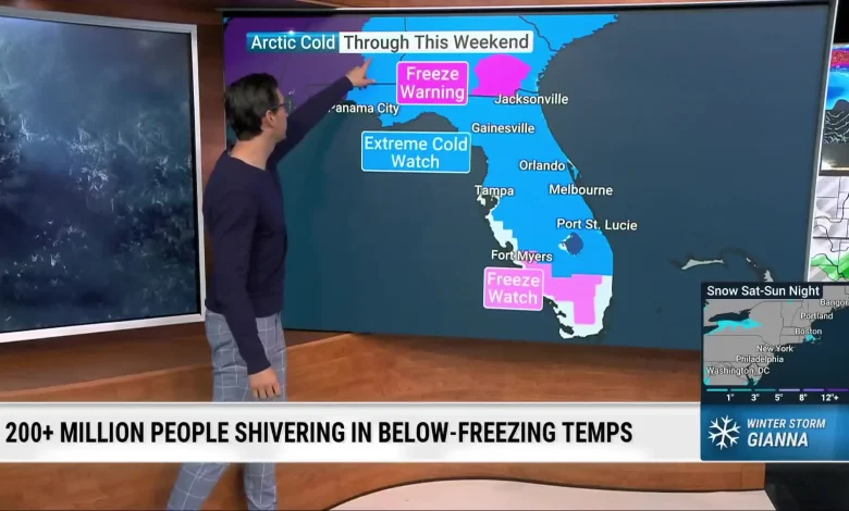 Florida Freeze Ahead: Could We See Record Temps, Flurries?