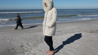 Florida Freeze Map Update as Nearly Entire State Under Warning, Advisory