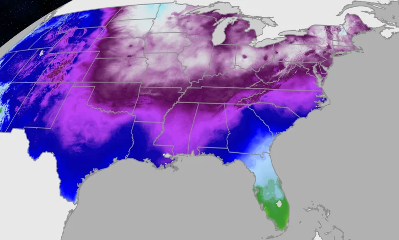 Florida Will Soon Face Record Cold