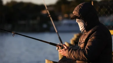 Florida's weather rollercoaster takes you from mid-80s to upper 30s