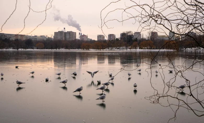 Freezing rain and ice disrupt travel across central and eastern Europe