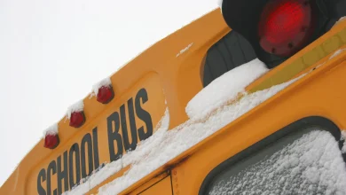 Freezing rain triggers widespread school bus cancellations across the GTA