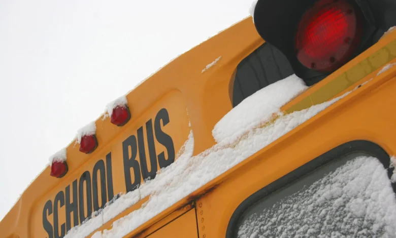 Freezing rain triggers widespread school bus cancellations across the GTA