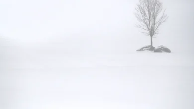 Frigid cold to fall sub-zero this week; plan now to avoid health risk