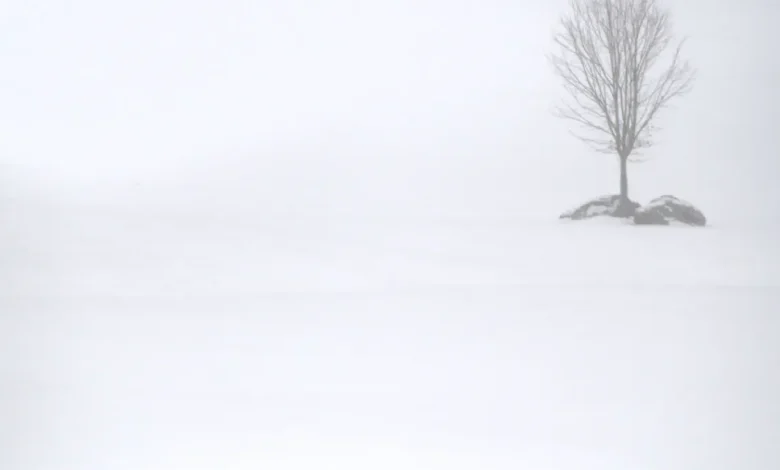 Frigid cold to fall sub-zero this week; plan now to avoid health risk